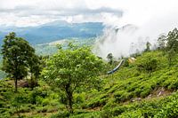 Train journey through Sri Lanka