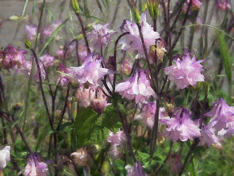 peinture de fleurs par Edgar Schermaul