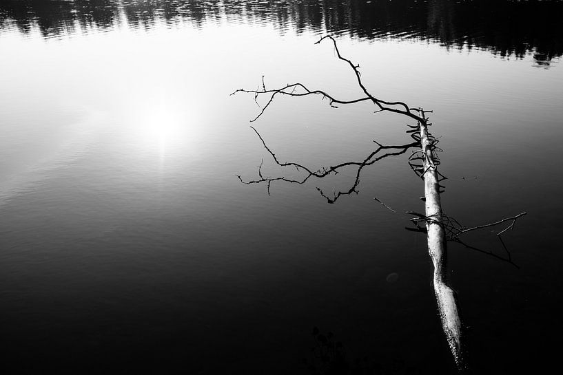 Black and white reflection by Ellis Peeters