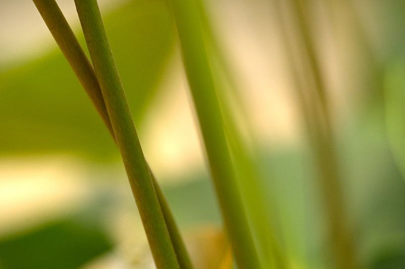 bandes et plans par Arjan Keers