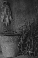 Bucket with plant and tuft in black and white
