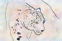 Snow Leopard Digital Sketch