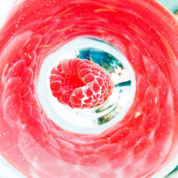 Raspberry van Mariska Hofman