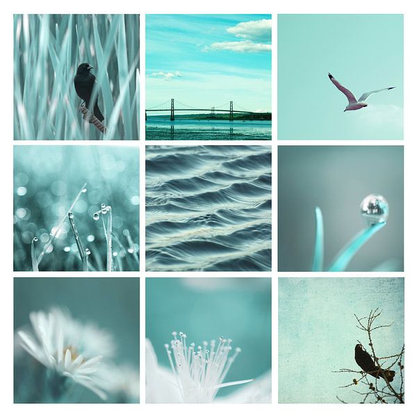 3x3 Aqua Blue by Aimelle ML