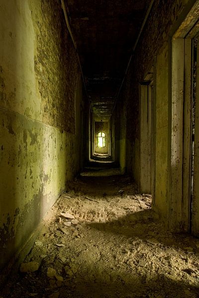 het licht par Aart Jan van Mossel