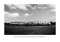 Hoe Kijkt Autisme: Bloeien