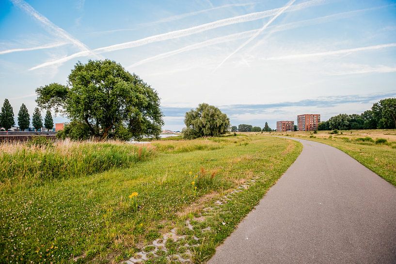 landscape by Jamy Danen