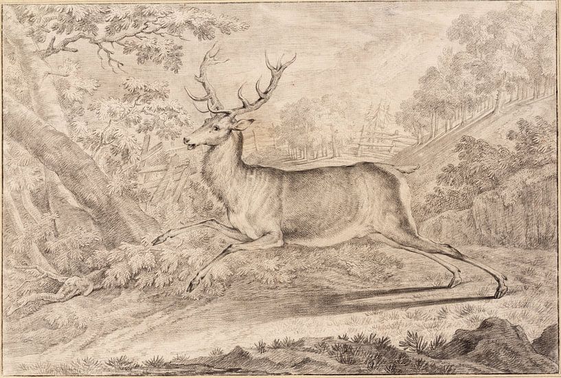 Un cerf fuyant à travers la forêt, Ridinger, Johann Elias par Teylers Museum