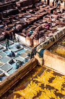 Tannery in Fez