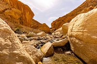 Un paysage naturel impressionnant et coloré de formations rocheuses du Moyen-Orient entre les gorges du sentier Wadi Ghuweir, Réserve de biosphère de Dana, Jordanie.