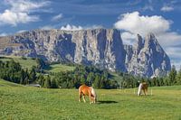 die Seiser Alm mit dem Schlern,Südtirol,Italien