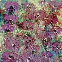 Ein Fest der Mohnblumen