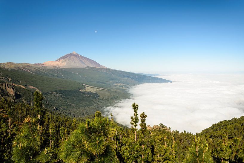 Teide und Orotavawolke von Michael Valjak