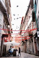 Vogels in de oude stad van Porto