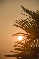 Sonne in deiner Handfläche