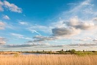 Wolken Formation Kinderdijk