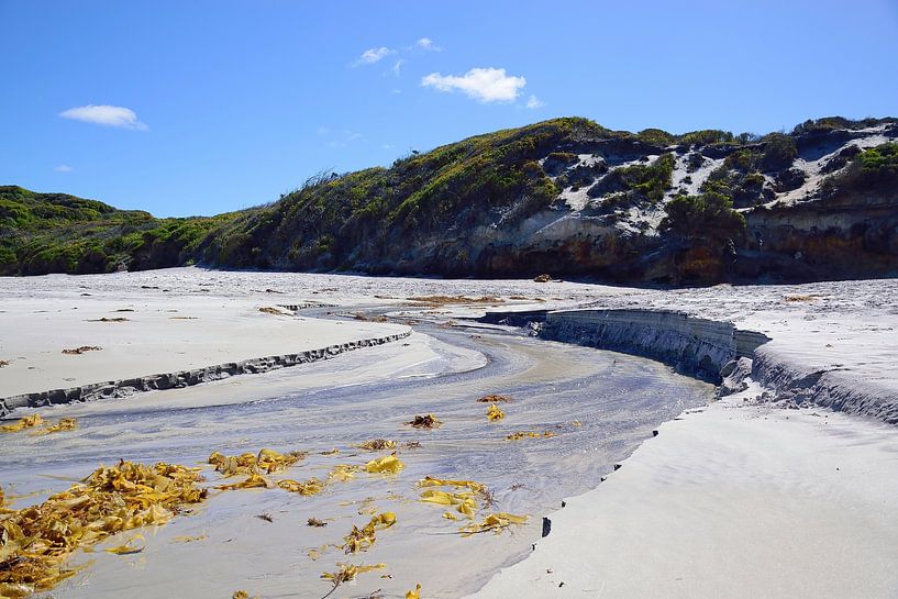 Silvery reflections by Frank's Awesome Travels