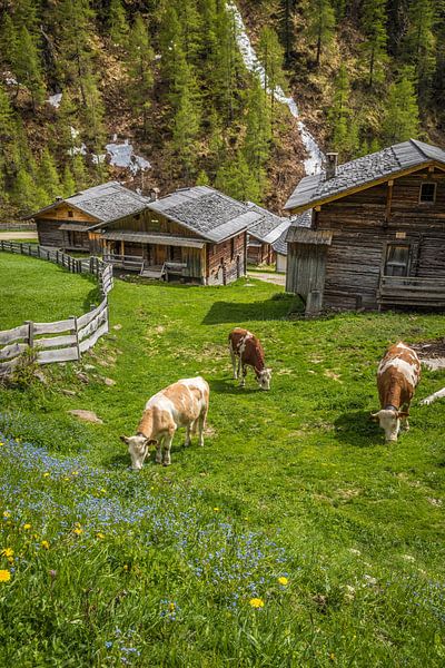 Huts on the Oberstalleralm (1,870 m) in the rear Villgratental valley by Christian Müringer