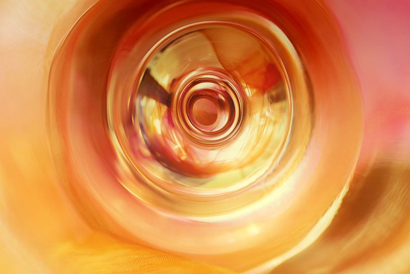 The cycle of life / Circle of life by Marijke de Leeuw - Gabriëlse