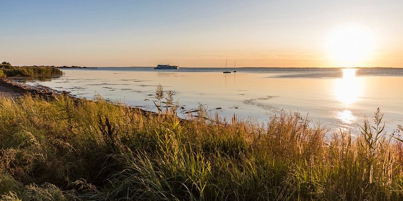 Ferry sur le Schaproder Bodden dans la lumière du soir par Werner Dieterich