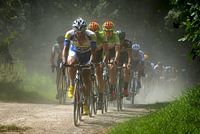 cycling race Schaal Sels