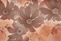 Autumn Flowers Earth Tones