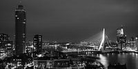 Rotterdam Skyline (noir et blanc)