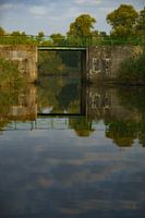 Mirror image in the water of the Bruges of St. John Biesbosch