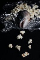 Poisson caillebotis | partie 2