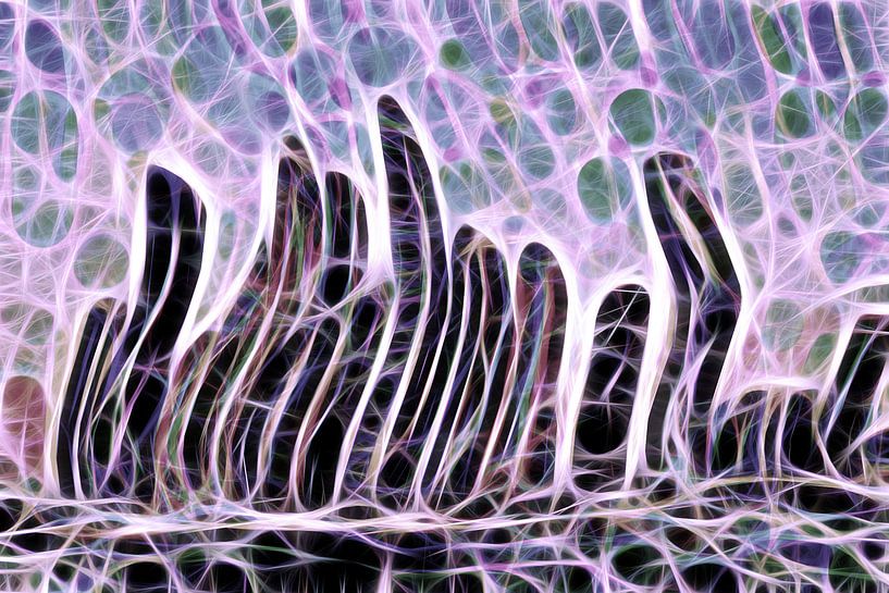 Dubaï par Karl-Heinz Lüpke