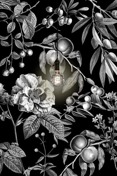 Wallpaper von Marja van den Hurk