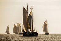 Clipper race on the IJsselmeer