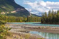 Athabasca River im Jasper National Park, Rocky Mountains, Alberta, Kanada.