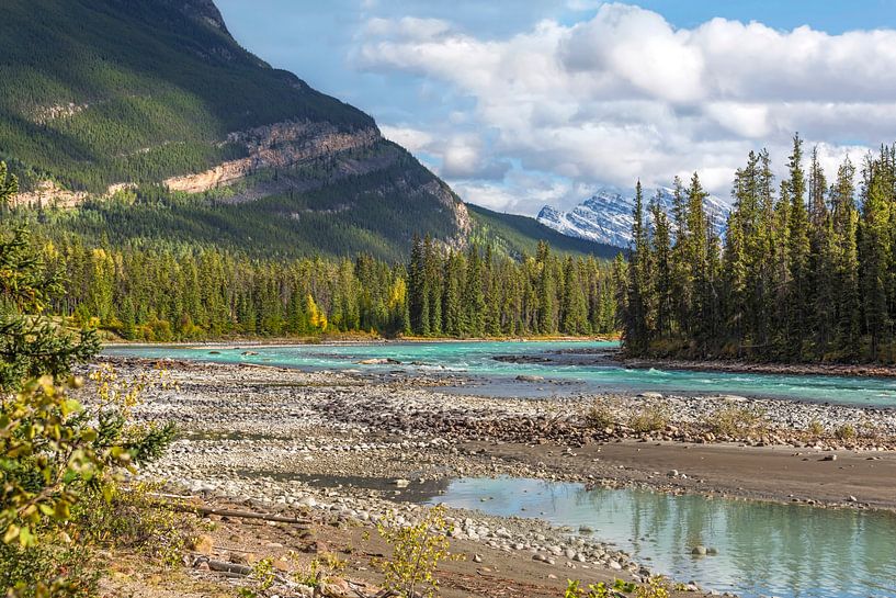 Athabasca River in Jasper National Park, Rocky Mountains, Alberta, Canada. by Mieneke Andeweg-van Rijn