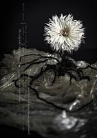 THE FUTURE OF OUR PLANET_PLASTIC SOIL N.01