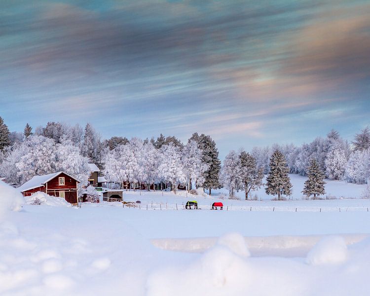 Winter in the north of Sweden by Hamperium Photography
