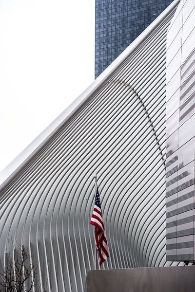 Der Oculus von Annelies Martinot