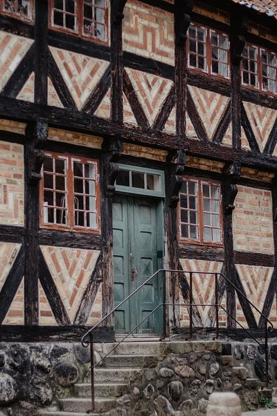 Histoire par Mêgan Nauta