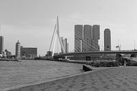 The Erasmus Bridge