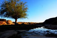 Vallei van Los Gigantes