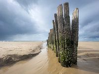 Tempête sur la mer du Nord