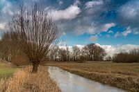 Dutch water landscape
