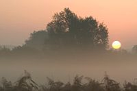 Zonsopkomst in Meinerswijk 