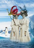 Where the wild flowers grow