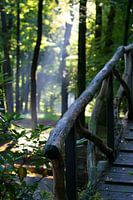 Wand decoratie bruggetje met bomen en zon