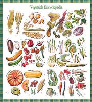 Groente Encyclopedia