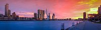 Skyline van Rotterdam met de Erasmusbrug en avondrood  RawBird Photo's Wouter Putter