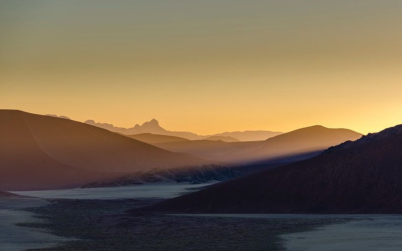 Woestijn ontwaakt van Peter Vruggink