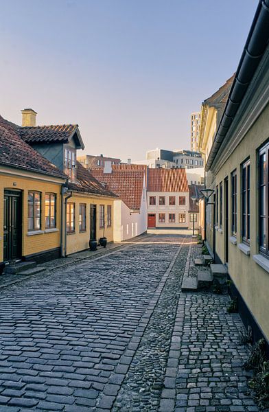 Odense 3 par Lisa Bouwman