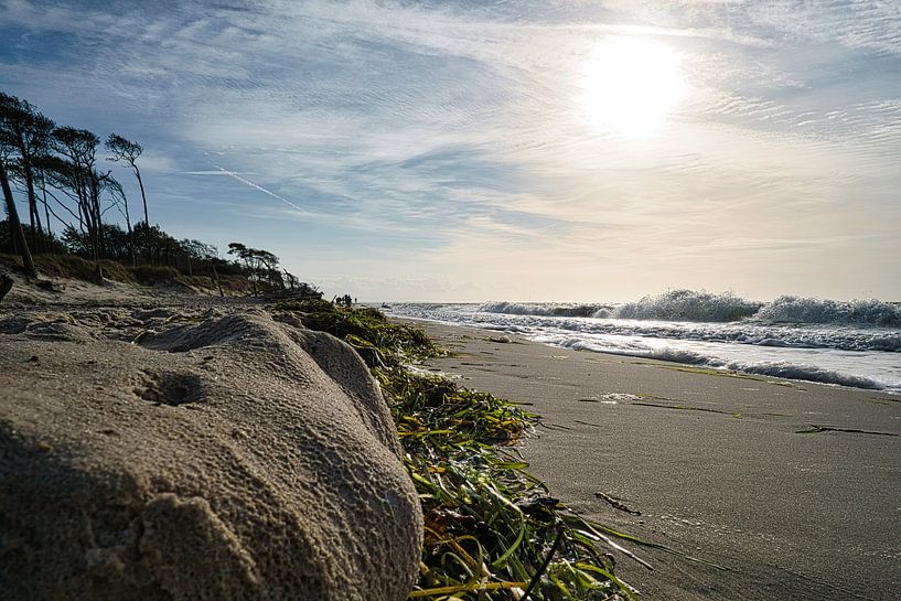 Am Sandstrand der Ostseeküste von Martin Köbsch